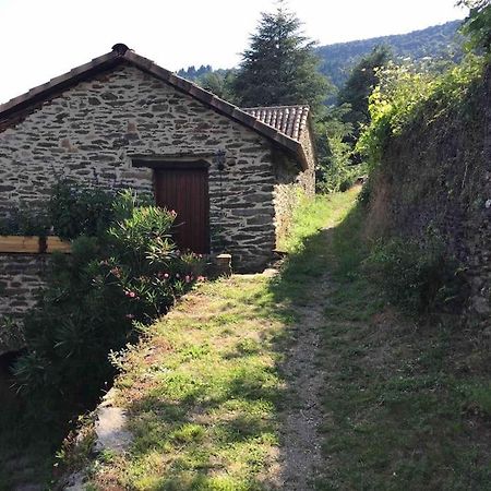 Maison Rurale Au Coeur Des Cevennes Ardechoises Dompnac Luaran gambar
