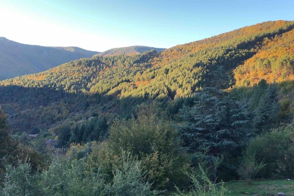Maison Rurale Au Coeur Des Cevennes Ardechoises Dompnac Luaran gambar